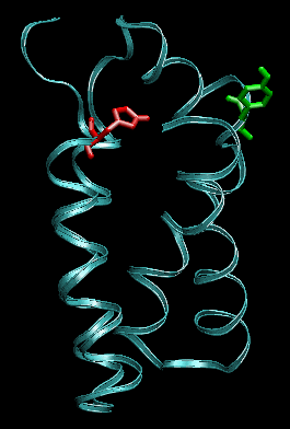 Snapshot of four-helix bundle protein before pulling