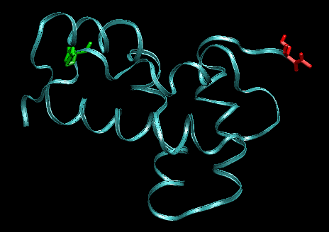 Snapshot of four-helix bundle protein after 1ns pulling