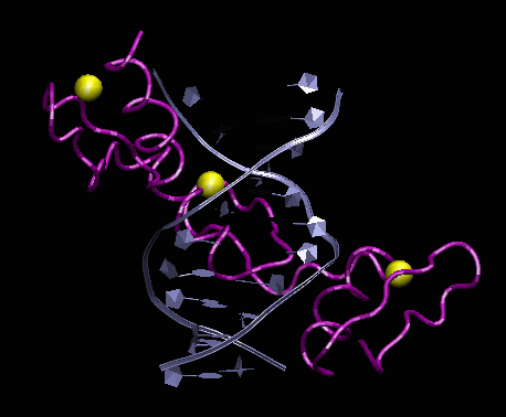 DNA