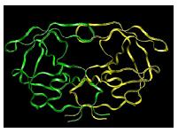 HIV protease structure