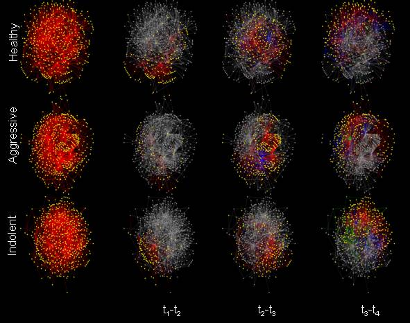 sample network