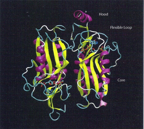 1TC2 structure