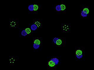 Multicellular Differentiation.