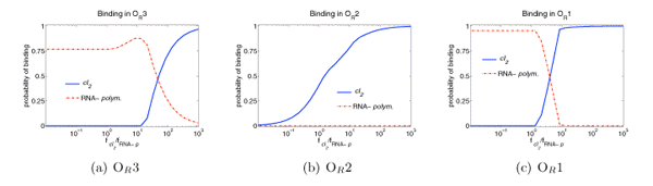 Figure 1. Lambda-phage lysogeny