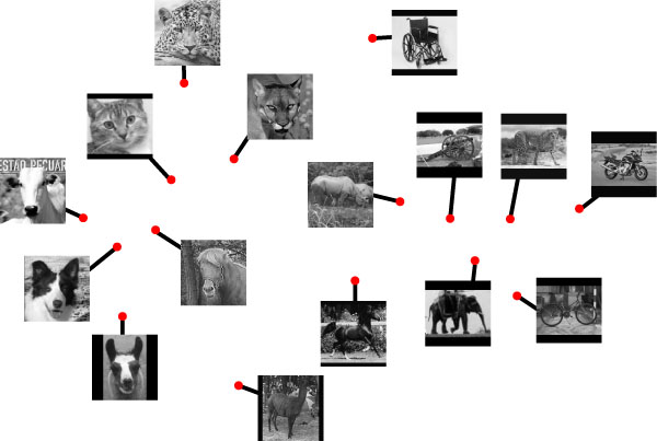 MDS embedding of 16 categories