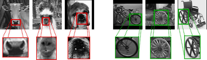 Sharing parts among object categories