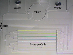 Picture of microfluidic chip.