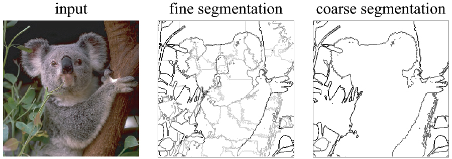 Sample segmentation