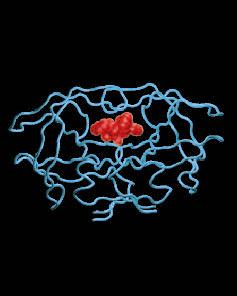 HIV protease